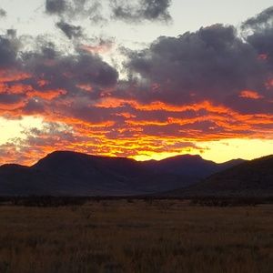 Meet your Posher, Richard